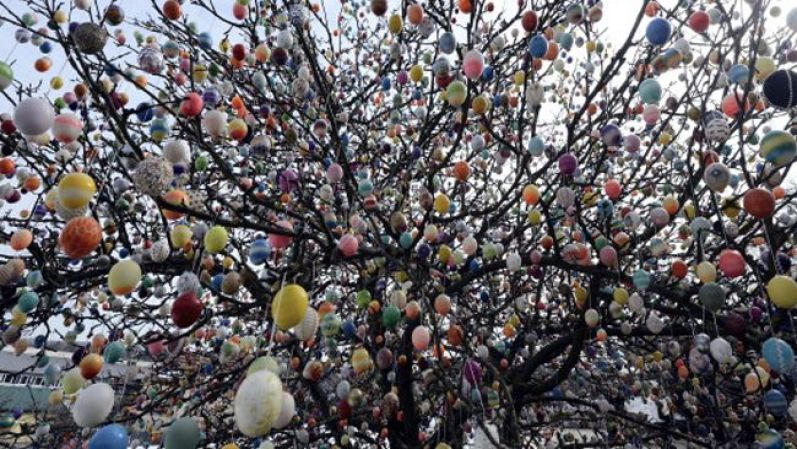 En Alemania, tambien, una familia decidió festejar de una manera muy particular y decoró un árbol con 10 mil huevos de Pascuas.