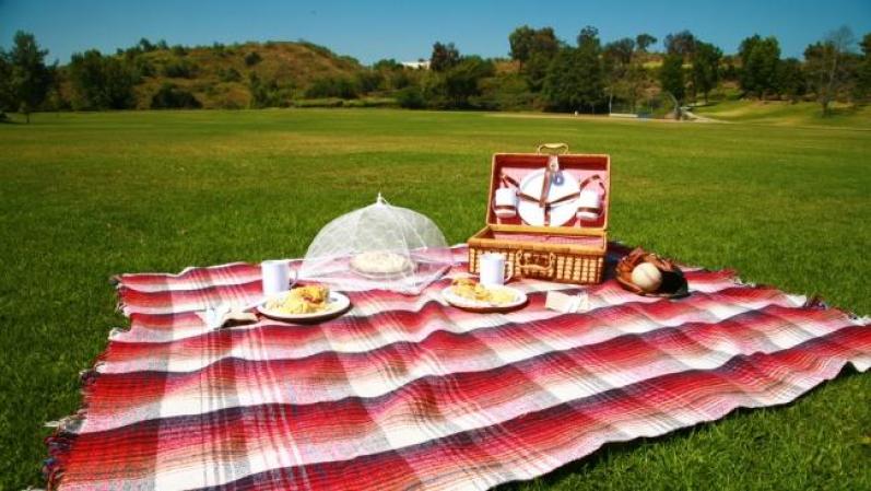 Set de picnic. ¡Que regalo más útil! Uno de esos sets que incluyen todo lo necesario para un picnic. No hay duda de que si tiene alma de gourmet, no perderá la ocasión para comer algo sabroso en la naturaleza.