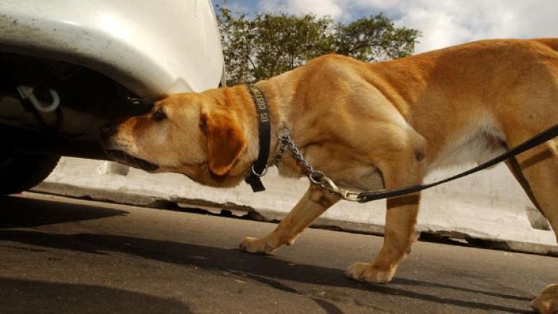 Los puntos de control en los peajes son revisados por perros, debidamente entrenados.