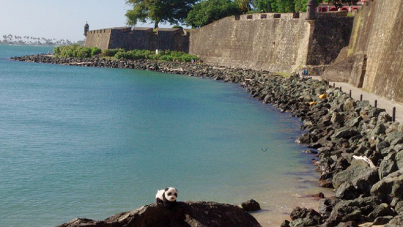Descubre una visión original e inusual de la hermosa ciudad de San Juan, Puerto Rico y de su gente. ¿Cuándo te ibas a imaginar encontrar un panda caminando por las paredes del Viejo San Juan?