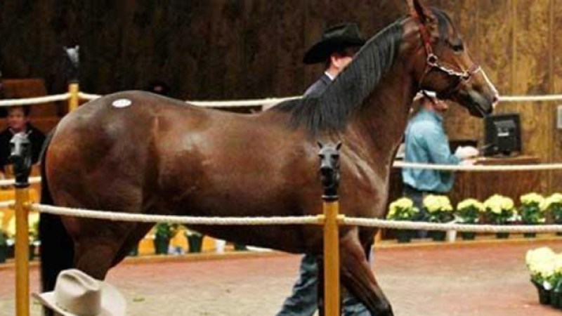 Sentencian a mexicano por lavar dinero