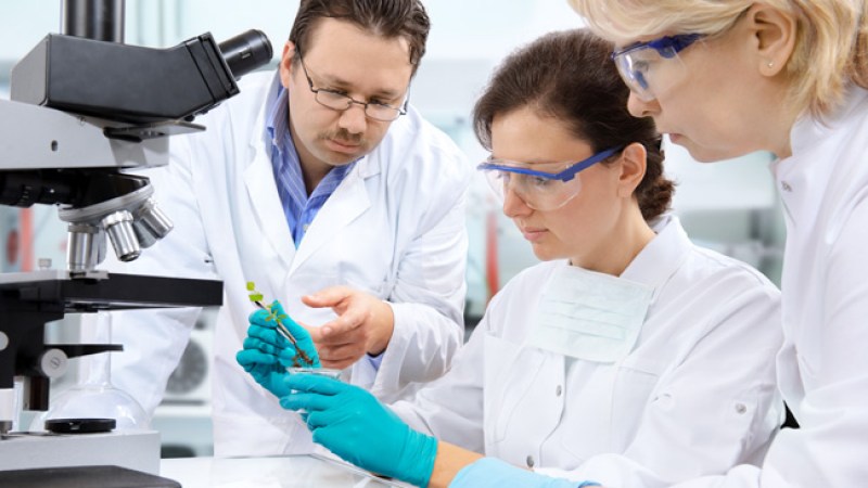 Superbacteria de gonorrea desenfrenada