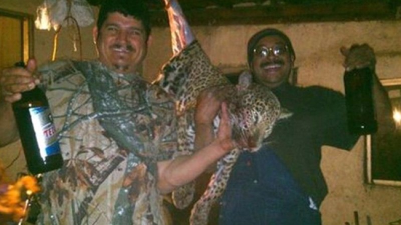 Cazan jaguar y lo presumen en Facebook