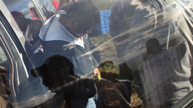 El acelerado ritmo de detenciones y deportaciones bajo la administración del presidente Barack Obama ha enfurecido a los defensores de los derechos de los inmigrantes.