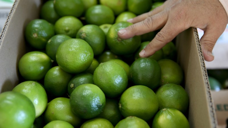 Un trago amargo: el precio del limón