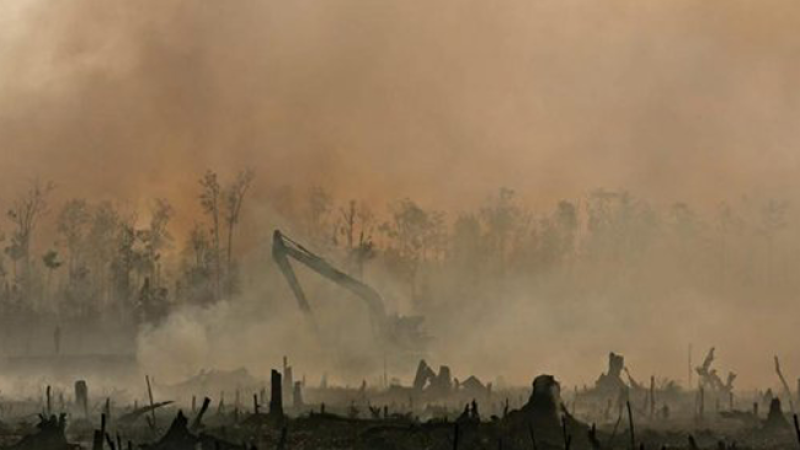 Incendios en Yakarta.