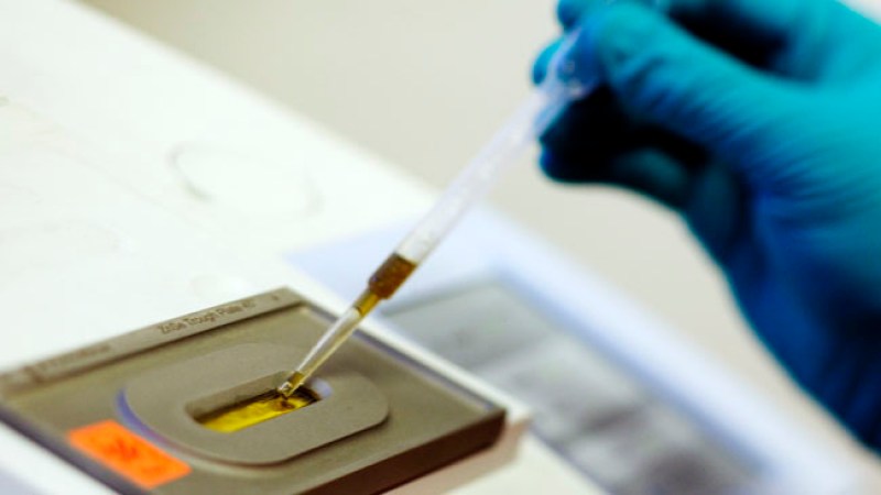 Desarrollan detector de cáncer de colon