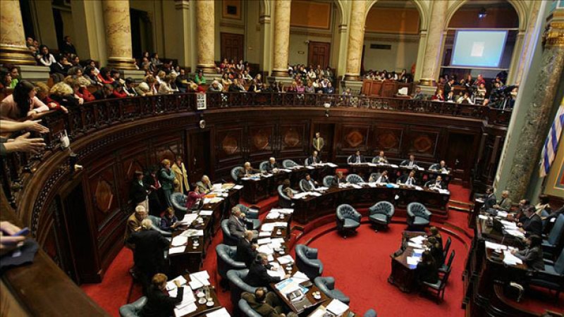 el proyecto de ley aprobado tiene por finalidad "facilitar la concurrencia de la ciudadanía a las urnas".