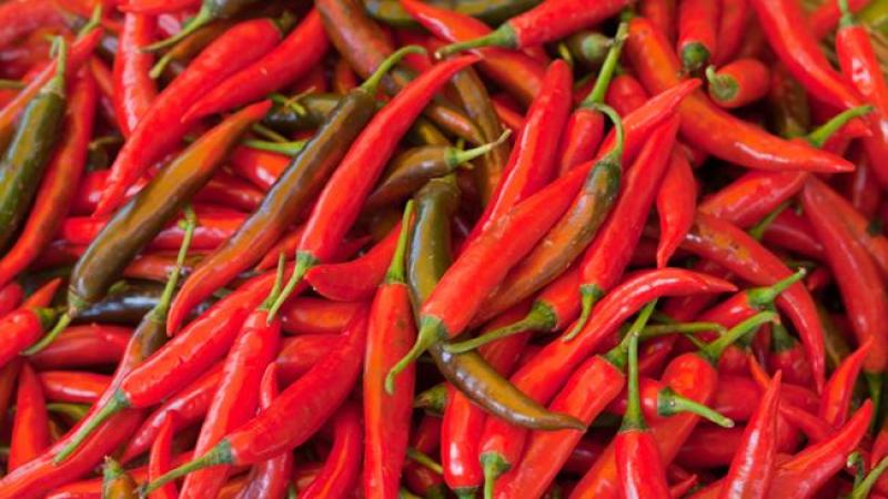 Descubre el sabor y el placer que esconde la comida picante y ¡sorpréndete! Todo lo que necesitas saber para empezar.