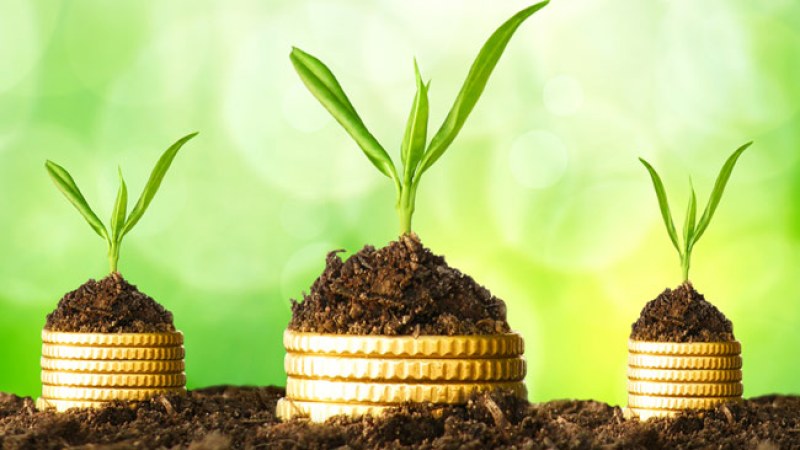 Rituales para atraer la prosperidad