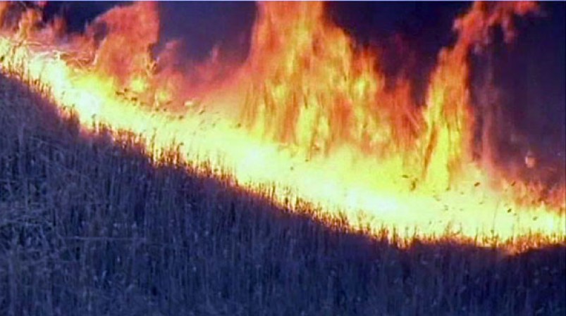 Un incendio forestal se prolonga por varias horas y destruye todo a su paso.