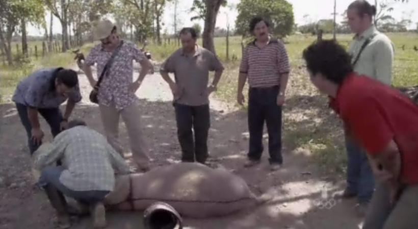 Sin embargo en el camino uno de sus hombres se estrella con un burro.