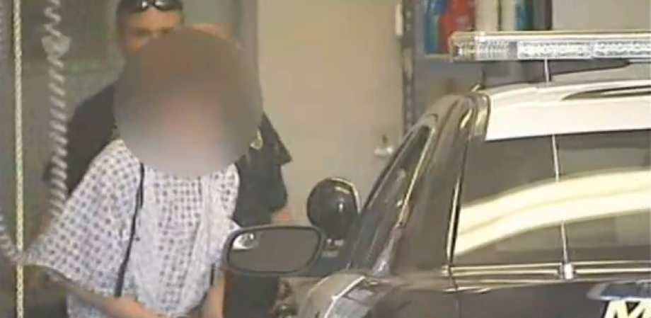 Un estudiante del décimo grado se encuentra bajo custodia de la policía en relación al apuñalamiento múltiple que se ha producido esta mañana en los pasillos y aulas de la escuela Franklin Regional High School, en Murraysville, Pensilvania.
