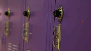 generic school lockers