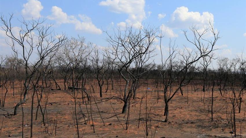 INCENDIOS-BOLIVIA-INCONTROLABLES-EFE