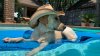 Protege a tus mascotas del calor extremo