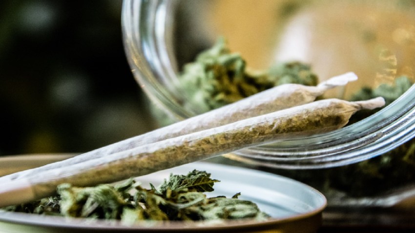 CASOS DE MARIHUANA