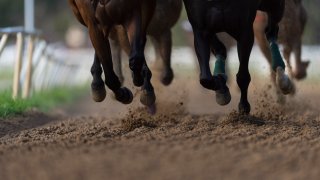 File image of horses racing