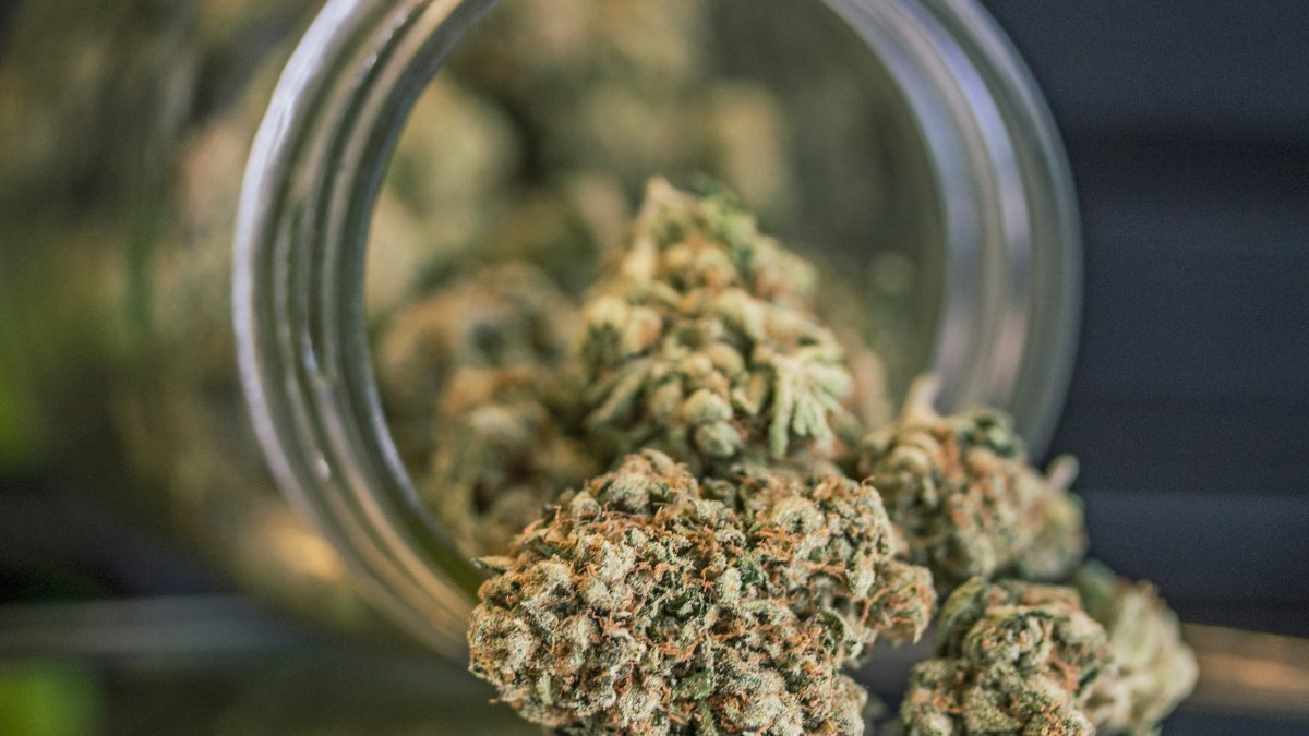 New York Judge Temporarily Blocks Retail Marijuana Licenses Amid Lawsuit by Veterans