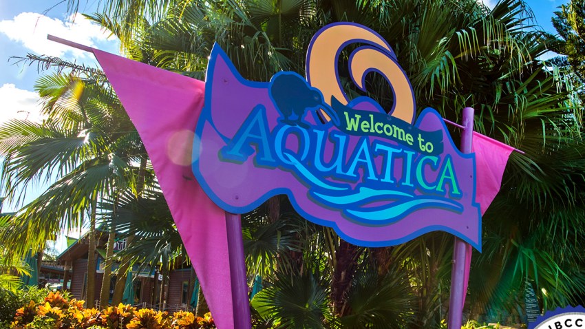 TLMD-AquaticaAutismo