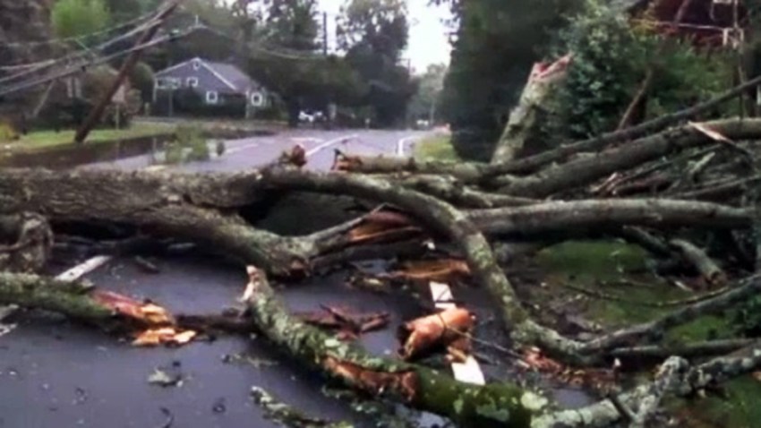 TLMD-arboles-caidos-por-tormentas-ST