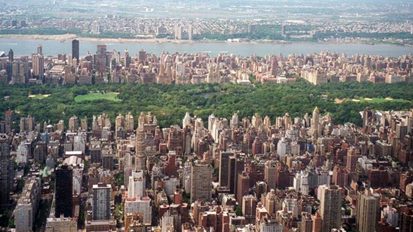 TLMD-central-park-ny