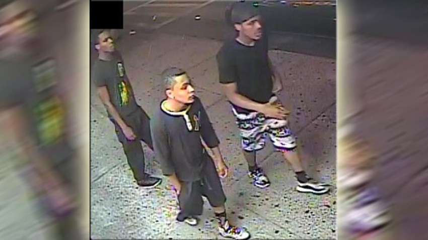 TLMD-ladrones-del-nueva-york