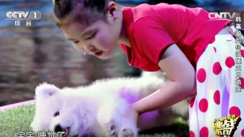 TLMD-nina-que-hipnotiza-animales-en-china