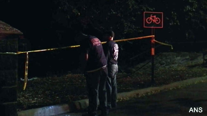 TLMD-perro-muere-en-central-park-st