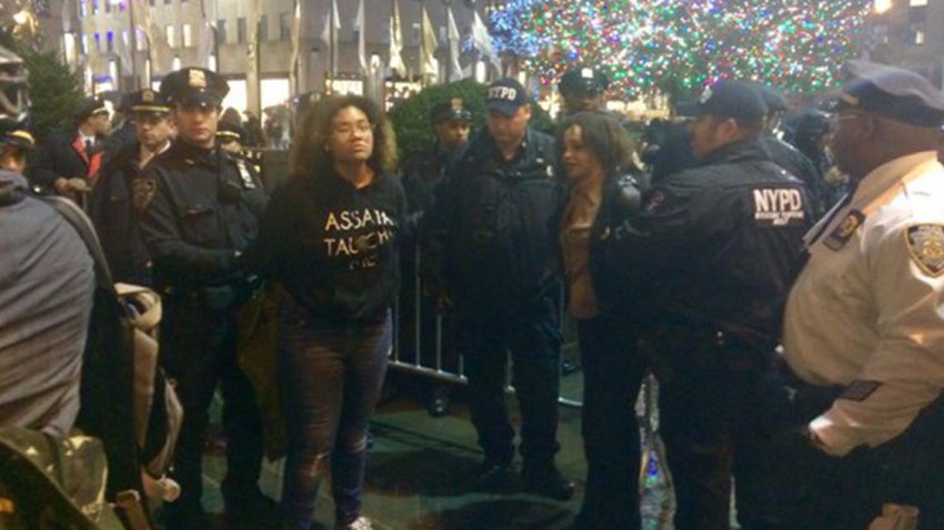 TLMD-protesters-climb-tree