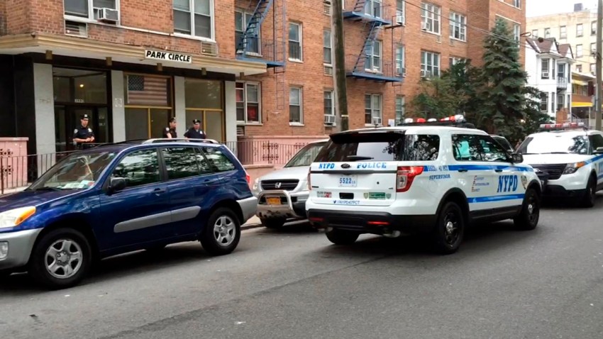 TLMD-roban-a-policia-nypd-bronx-1