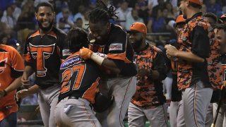 TLMD-toros-del-este-Dominicana-EFE