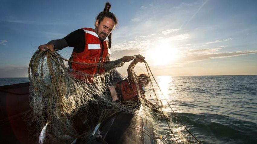 albarran-greenpeace-vaquita-marina