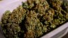 Nueva York abre solicitudes de licencia para la venta legal de marihuana