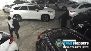bronx car thieves