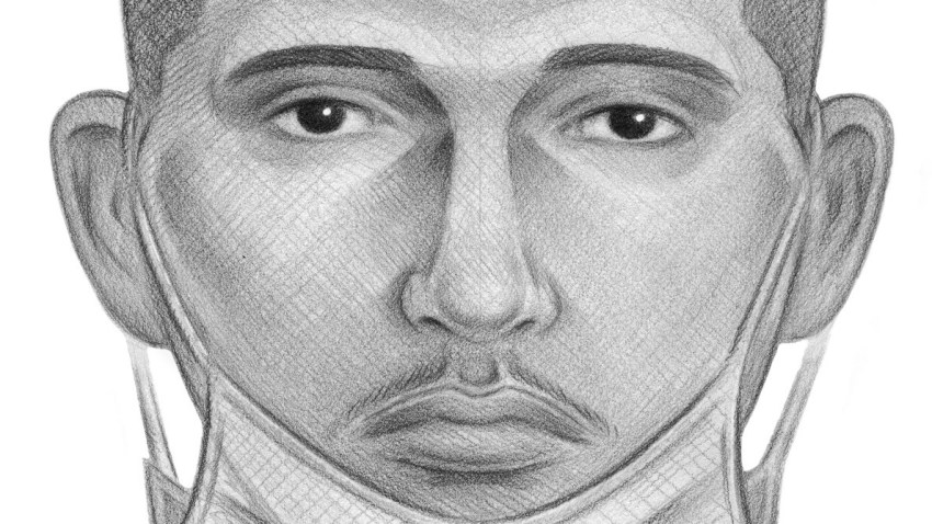 central park sex abuse suspect