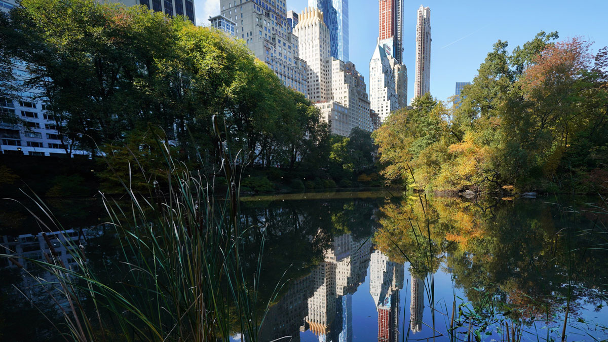 NYC invests $ 25 million to finance the hiring of more than 340 city park workers – Telemundo New York (47)