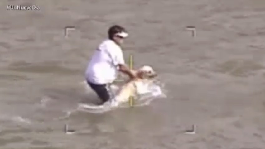 rescate-perro-rio