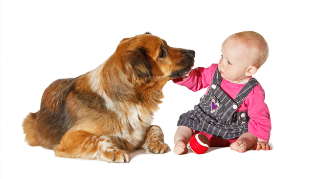 tlmd_dogandbabyss