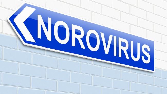 cuando es contagioso un virus estomacal