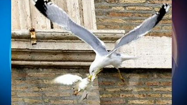 tlmd_palomas_vaticano_ok