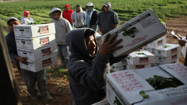 tlmd_reforma_migratoria_campo