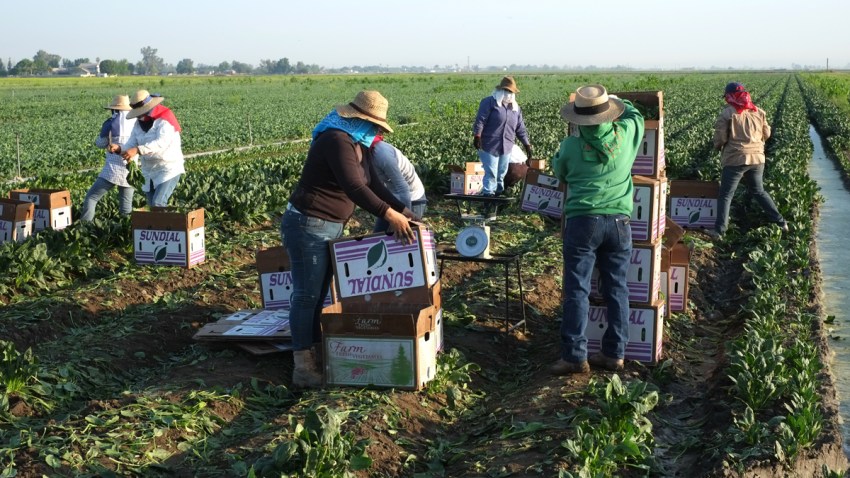 trabajadores-hispanos-agric