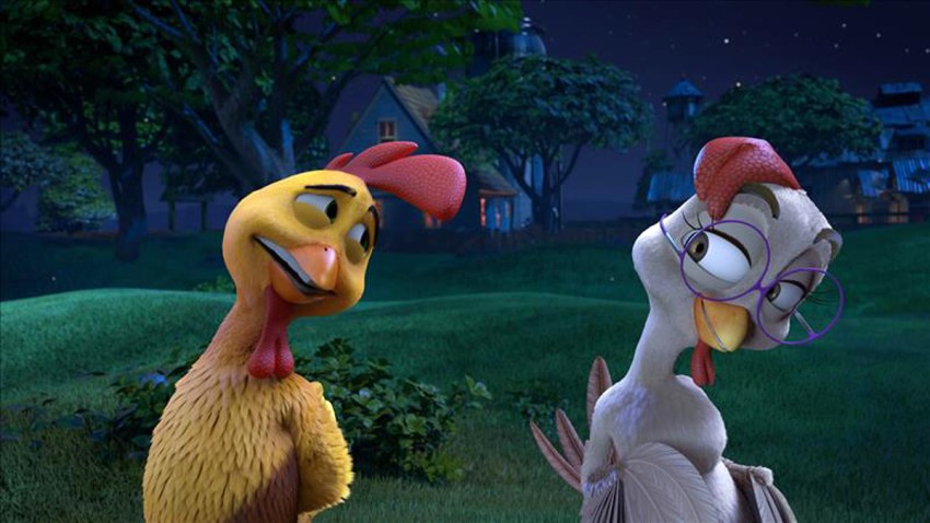 un-gallo-con-muchos-huevos