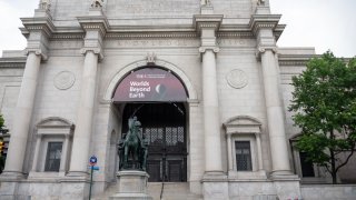 New York City's American Museum of Natural History