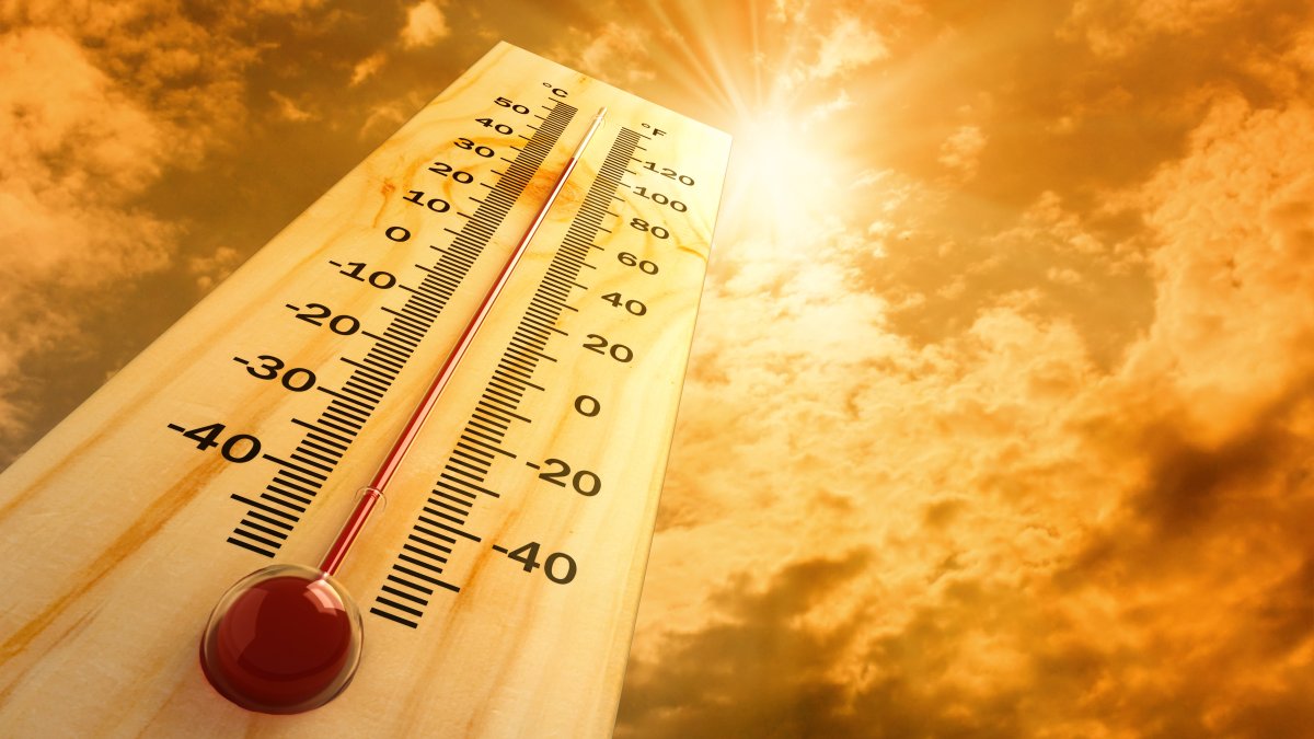 Emiten aviso de calor excesivo para NYC, se esperan temperaturas casi récord y posibles tormentas - Vimarsana News