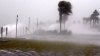 Captado en video: las ráfagas del huracán Sally castigan las costas de EEUU