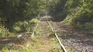Abandoned rail track in New Jersey
