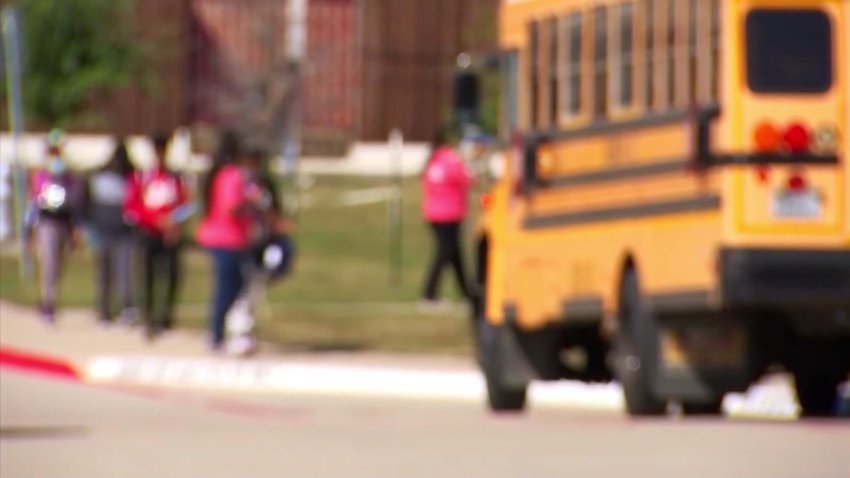 Alrededor de las escuelas y los autobuses existen normas específicas sobre cómo conducir.