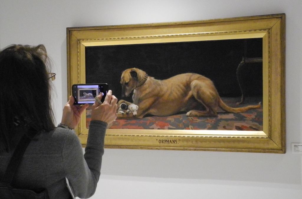 Museum of NYC offers exhibition of paintings of all the “presidential dogs” – Telemundo New York (47)